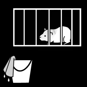 guinea pig: clean cage
